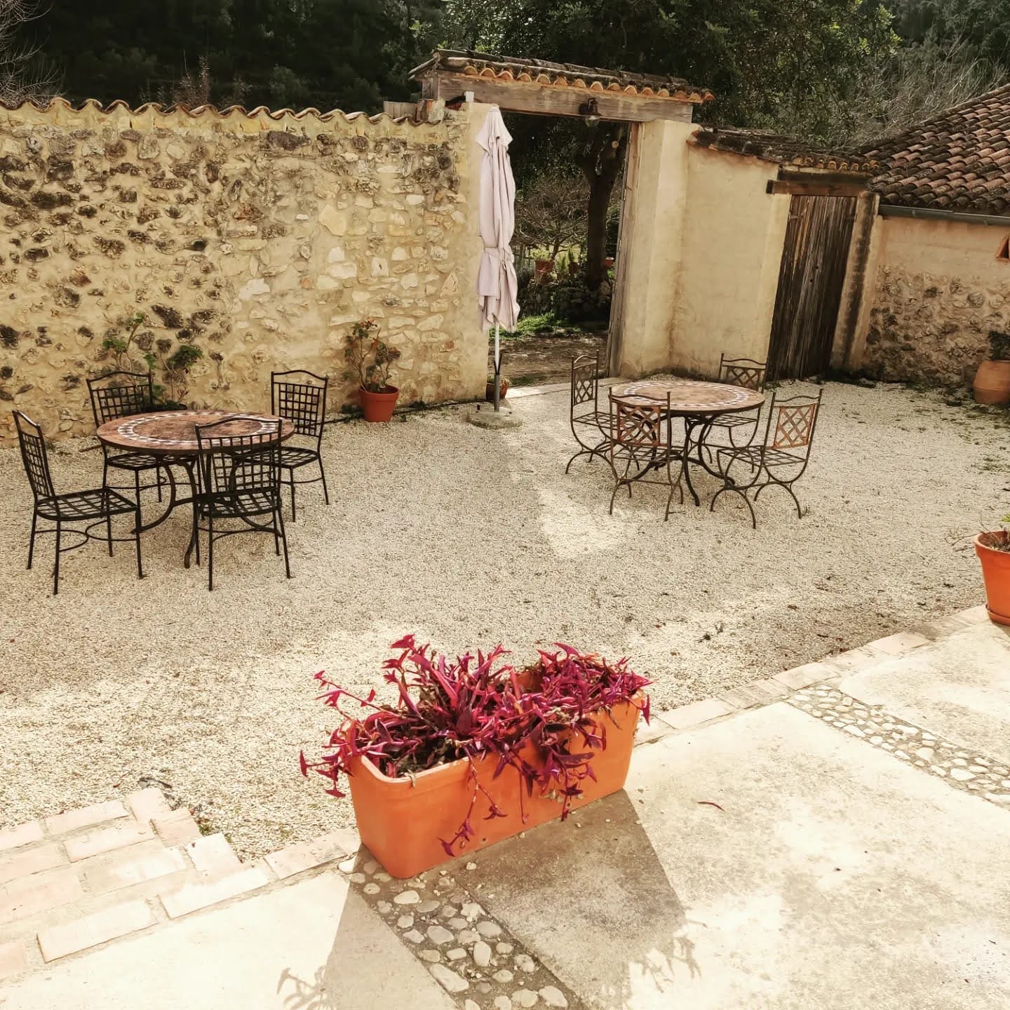 casa 3 patio.jpg