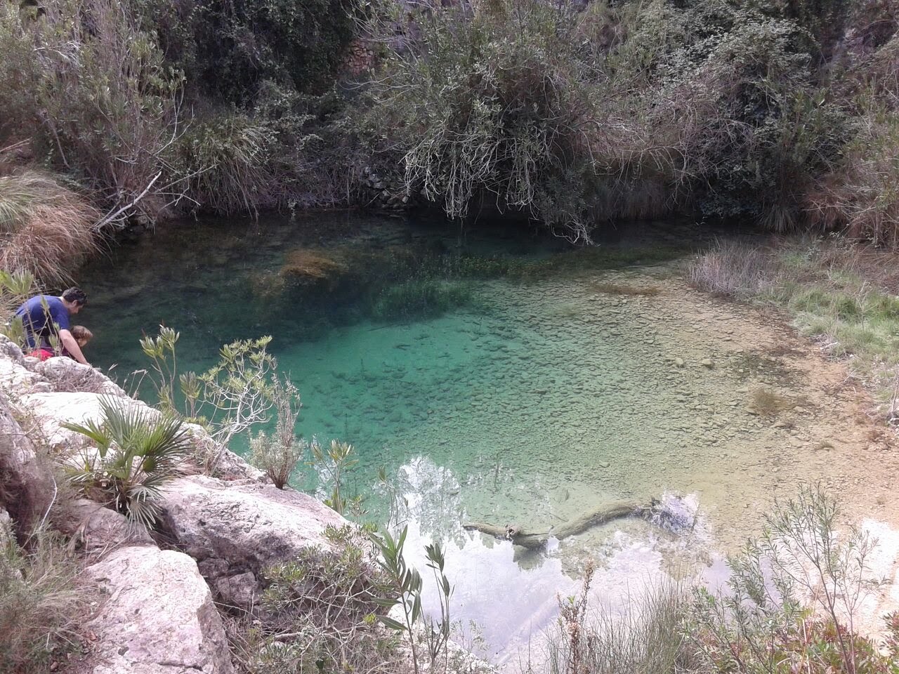 charco bru.jpg